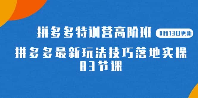 （7295期）2023拼多多·特训营高阶班【9月13日更新】拼多多最新玩法技巧落地实操-83节-优优云创