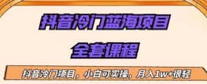 外面收费1288的抖音冷门蓝海项目，新手也可批量操作，月入1W+【揭秘】-优优云创