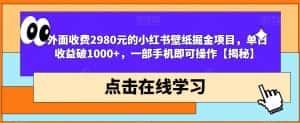 外面收费2980元的小红书壁纸掘金项目，单日收益破1000+，一部手机即可操作【揭秘】-优优云创