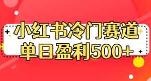 小红书冷门赛道，单日盈利500+【揭秘】-优优云创