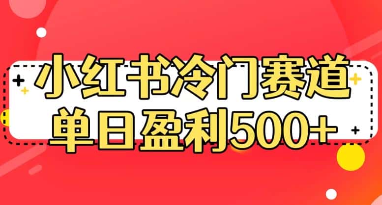 小红书冷门赛道，单日盈利500+【揭秘】-优优云创