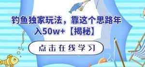 钓鱼独家玩法，靠这个思路年入50w+【揭秘】-优优云创