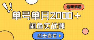 （7328期）咸鱼虚拟资料新模式，月入2w＋，可批量复制，单号一天50-60没问题 多号多撸-优优云创