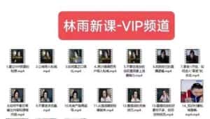 林雨新课VIP频道，玩赚私域/朋友圈/社群-优优云创
