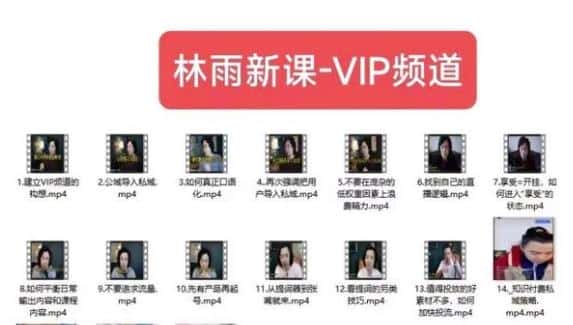 林雨新课VIP频道，玩赚私域/朋友圈/社群-优优云创
