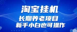淘宝虚拟产品挂机项目(长期养老项目新手小白也可操作)【揭秘】-副业吧