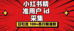 小白都会用的小红书精准用户id采集器日引流精准粉可达到100+（软件+教程）-副业吧