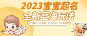 2023宝宝起名全新蓝海玩法，冷门暴力小白实操，日入1000+（全套教程）【揭秘】-优优云创