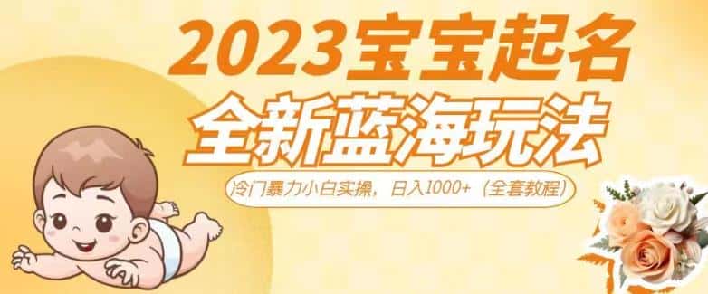 2023宝宝起名全新蓝海玩法，冷门暴力小白实操，日入1000+（全套教程）【揭秘】-优优云创