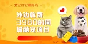 外边收费3980的同城萌宠项目，用最冷门的玩法冲击最热门的市场【揭秘】-优优云创