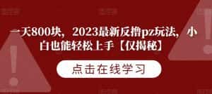 一天800块，2023最新反撸pz玩法，小白也能轻松上手【仅揭秘】-优优云创