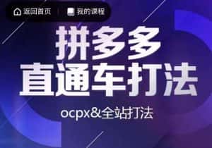 互力·拼多多直通车打法，ocpx&全站打法-优优云创