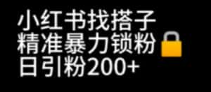 小红书找搭子暴力精准锁粉+引流日引200+精准粉-优优云创