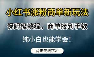 小红书涨粉商单新玩法,保姆级教程,商单接到手软,纯小白也能学会【揭秘】-优优云创网