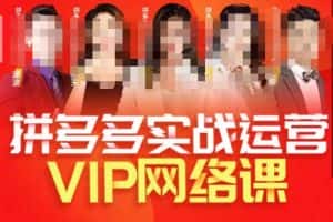 推易拼多多VIP全套直播课程,拼多多店铺实操玩法+实战玩法选款内功+直通车高阶等-副业吧