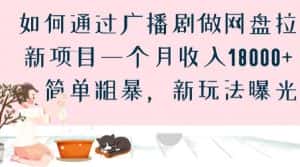 如何通过广播剧做网盘拉新项目一个月收入18000+，简单粗暴，新玩法曝光【揭秘】-副业吧