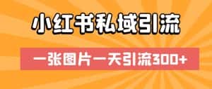 小红书私域引流，一张图片一天引流300+【揭秘】-副业吧