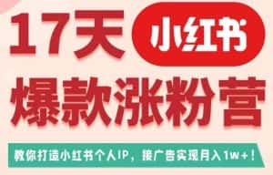 17天小红书爆款涨粉营（广告变现方向），教你打造小红书博主IP、接广告变现的-副业吧