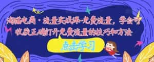 淘猫电商·流量实战课-免费流量，学会可收获正确打开免费流量的技巧和方法-优优云创网
