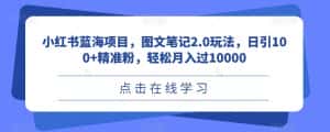 小红书蓝海项目,图文笔记2.0玩法,日引100+精准粉,轻松月入过10000【揭秘】-优优云创网