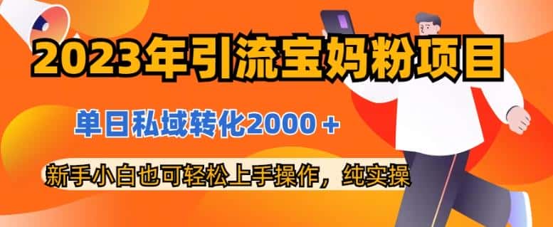 2023年引流宝妈粉项目，单日私域转化2000＋，新手小白也可轻松上手操作，纯实操-优优云创