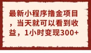 最新小程序撸金项目,当天就可以看到收益,1小时变现300+【揭秘】-优优云创