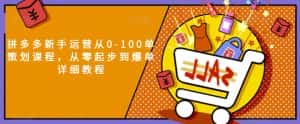 拼多多新手运营从0-100单策划课程，从零起步到爆单详细教程-优优云创