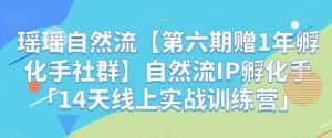 瑶瑶自然流【第六期赠1年孵化手社群】自然流IP孵化手「14天线上实战训练营」-优优云创