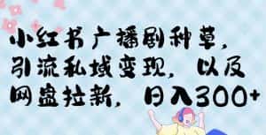 小红书种草广播剧，引流私域做网盘拉新，或售卖合集变现【揭秘】-优优云创