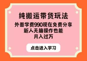 纯搬运带货玩法，外面学费990现在免费分享，新人无脑操作也能月入过万【揭秘】-优优云创