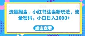 流量掘金，小红书注会新玩法，流量密码，小白日入1000+【揭秘】-优优云创