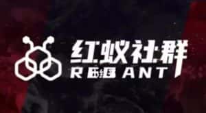 社群运营：红蚁社群【48节落地系统课程+2000人高端社群】-副业吧