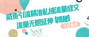 咸鱼引流精准私域流量成交流量无限延伸【揭秘】-优优云创