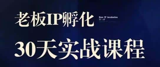 诸葛·2023老板IP实战课，实体同城引流获客，IP孵化必听-优优云创