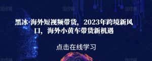 黑冰·海外短视频带货，2023年跨境新风口，海外小黄车带货新机遇-优优云创