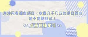 海外问卷调查项目（收费几千几万的项目到底是不是割韭菜）【揭秘】-优优云创