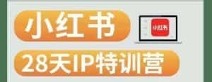 28天小红书博主IP特训营（第3期）实战经验，快速涨粉，迅速变现-优优云创