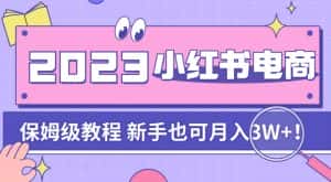 阿本小红书电商陪跑营4.0，带大家从0到1把小红书做起来-优优云创