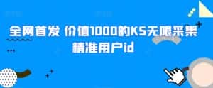 全网首发 价值1000的KS无限采集精准用户id-优优云创