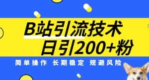 B站引流技术：每天引流200精准粉，简单操作，长期稳定，规避风险-副业吧
