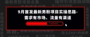 9月首发最新男粉项目实操思路-需求有市场，流量有渠道【揭秘】-优优云创