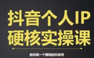 个人IP创富系统实战课，商业定位，流量打造，短视频变现，教你做个赚钱的抖音号-优优云创