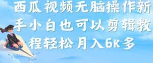 西瓜视频搞笑号，无脑操作新手小白也可月入6K-副业吧