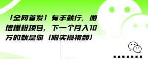 【全网首发】有手就行，微信爆粉项目，下一个月入10万的就是你（附实操视频）【揭秘】-优优云创网