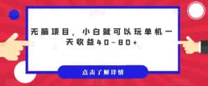 无脑项目，小白就可以玩单机一天收益40-80+【揭秘】-优优云创网