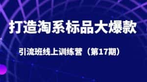 打造淘系标品大爆款引流班线上训练营（第17期）5天直播授课-优优云创网