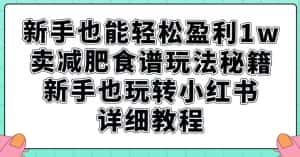 新手也能轻松盈利1w，卖减肥食谱玩法秘籍，新手也玩转小红书详细教程【揭秘】-优优云创网