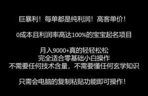 巨暴利，月入9000+的宝宝起名项目，每单都是纯利润，零基础都能躺赚【附软件+视频教程】-优优云创网