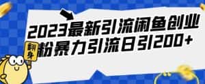 2023最新引流闲鱼创业粉暴力引流日引200+【揭秘】-优优云创网