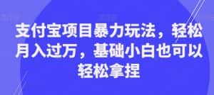 支付宝项目暴力玩法，轻松月入过万，基础小白也可以轻松拿捏【揭秘】-优优云创